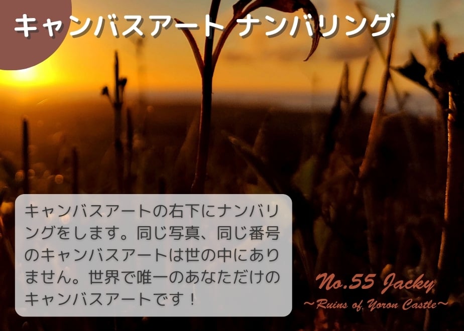 673ec7fba7ffd4077c78270d