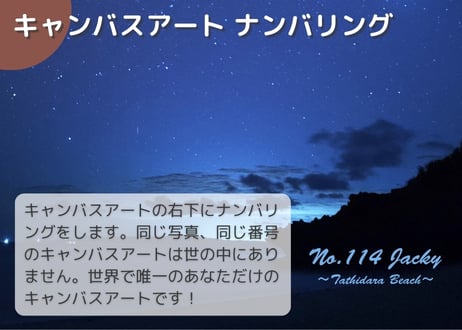 【一点のみ限定生産 No.114 キャンバスアート】最強の星空！タティダラビーチ！