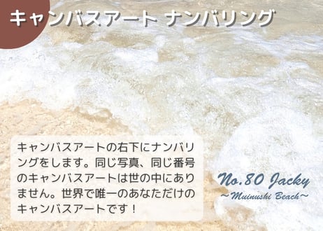 【一点のみ限定生産 No.80 キャンバスアート】穴場ビーチ ムイヌシー海岸