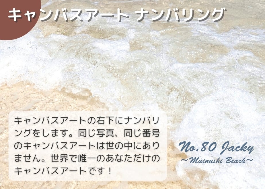 67e2cd1e4adc327fbb96604f