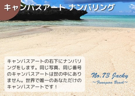 【一点のみ限定生産 No.73 キャンバスアート】絶景なレア孤島！船倉海岸