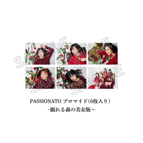 【期間限定予約販売】「PASSIONATO」限定グッズ-プロマイド