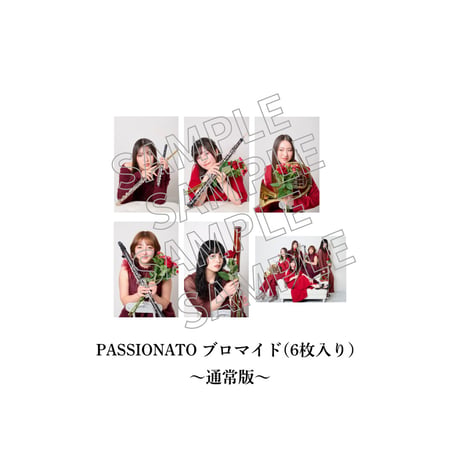 【期間限定予約販売】「PASSIONATO」限定グッズ-プロマイド