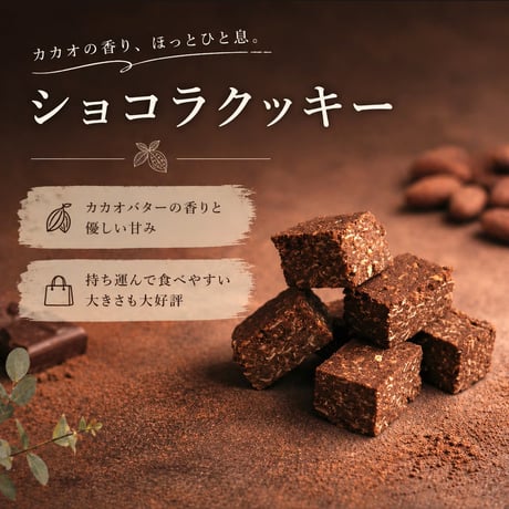 【はじめての方はコレ】 ESSEND定番商品お試しセット（グラノーラ4種+クッキー2種）