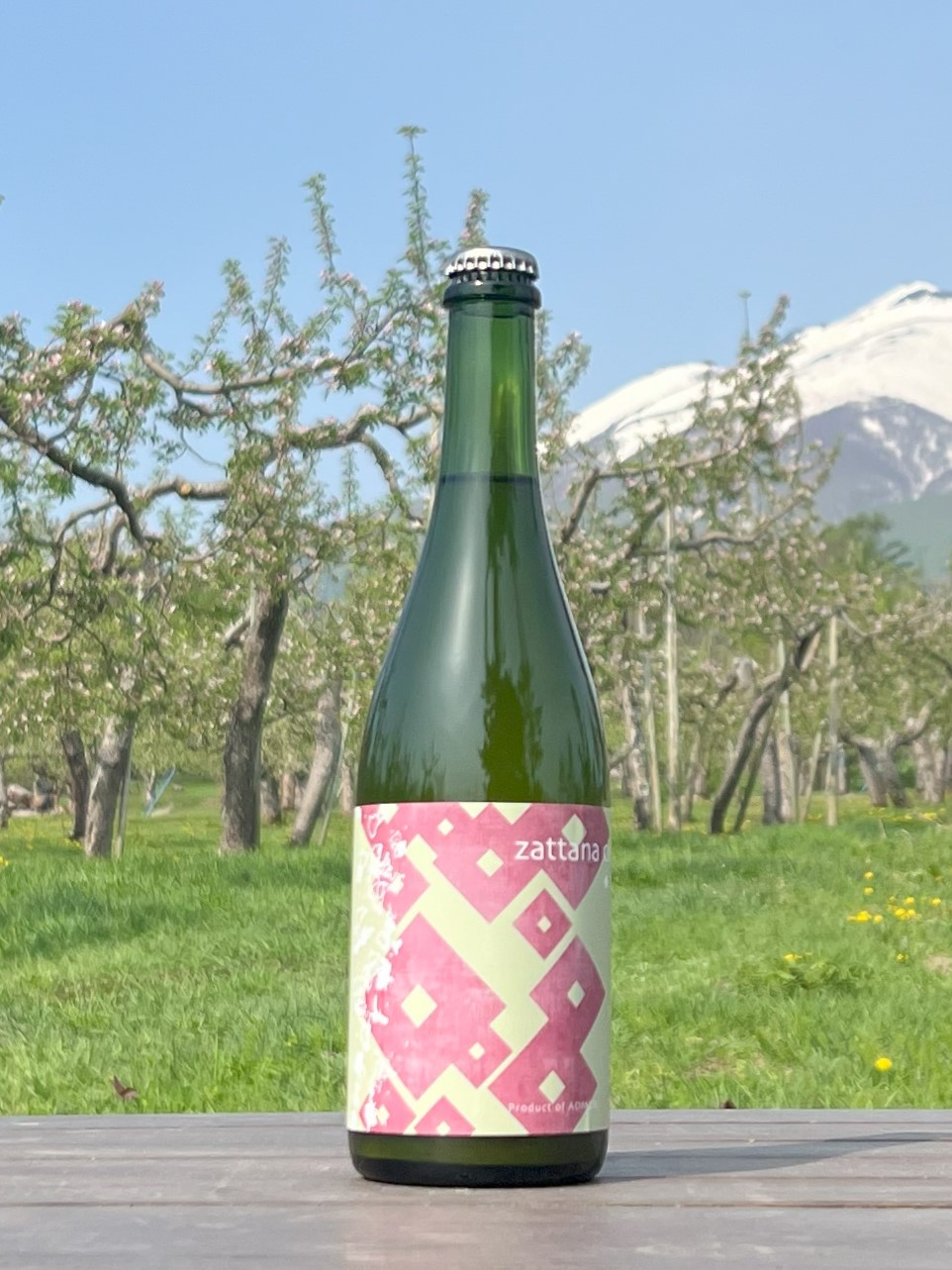 zattana cidre 山茶始開 2023 | zattana