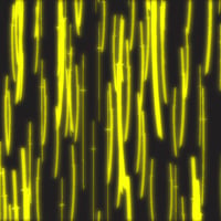 エフェクト素材・千華閃刀雨「黄」（RGBA　AVI+PNG連番画像2形式パック販売）