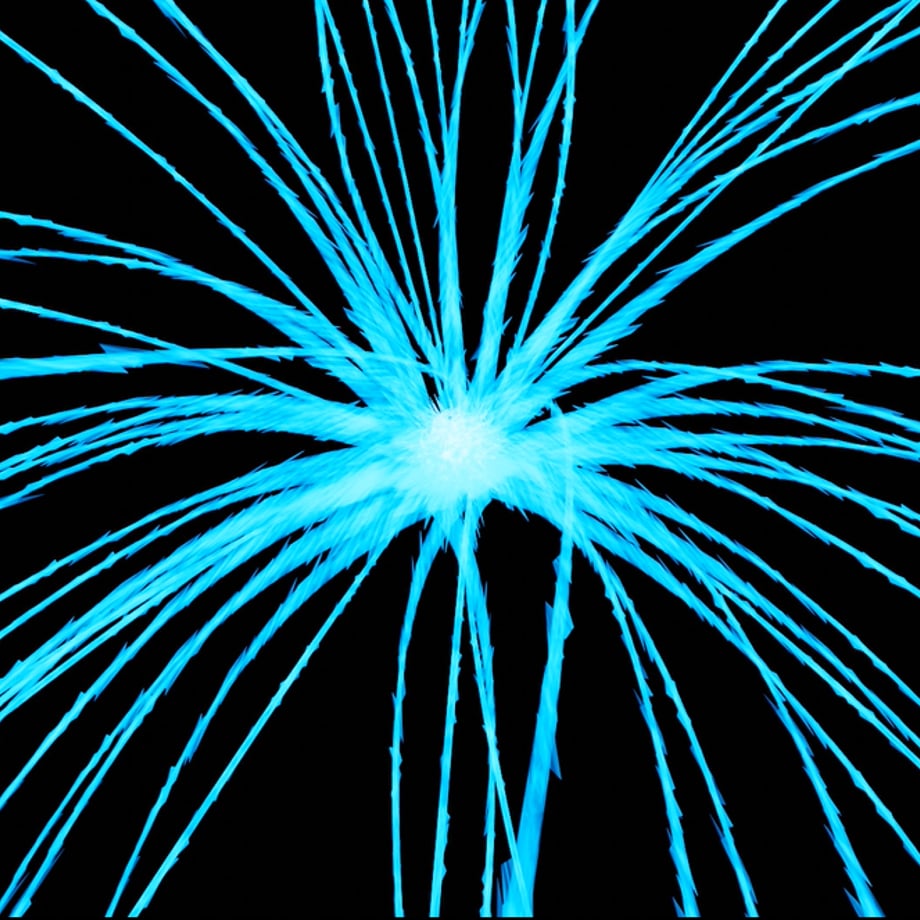 65ce8a40c6aee7161e6e42ea