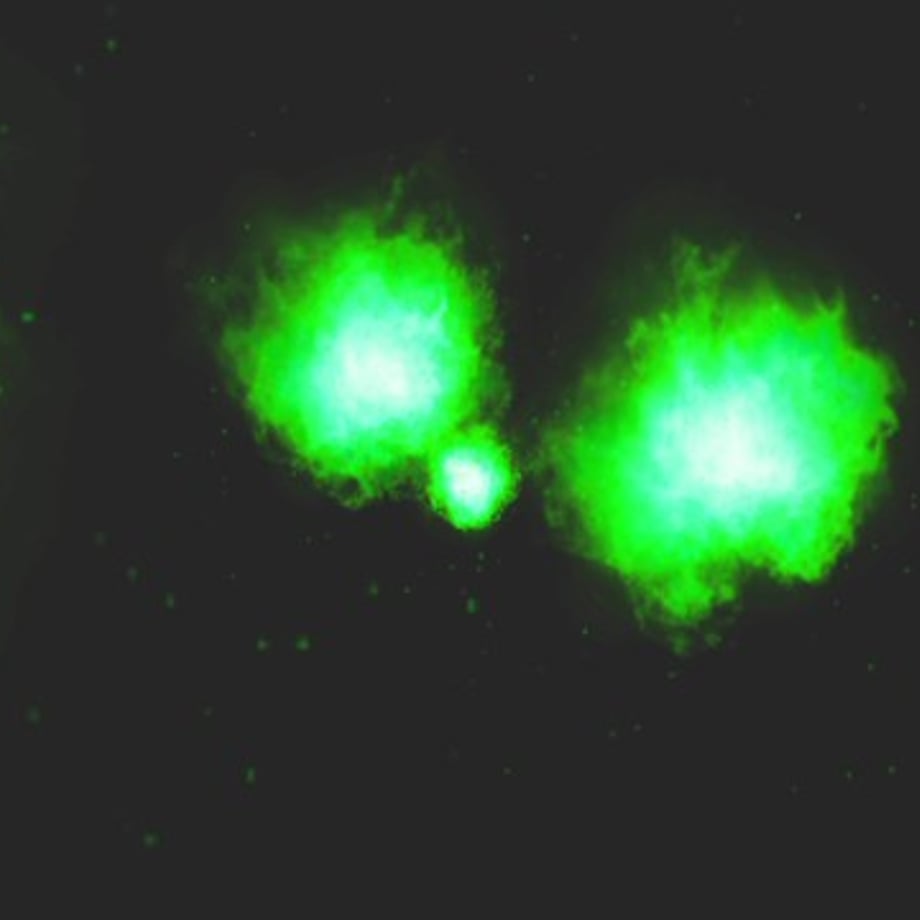 68256b9577e8d2a1208bf20e