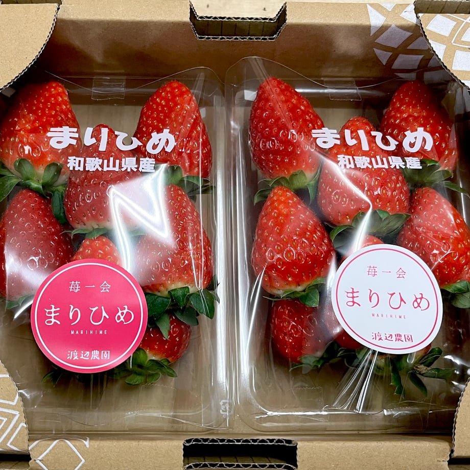 676ce6d5fc5660022909d963