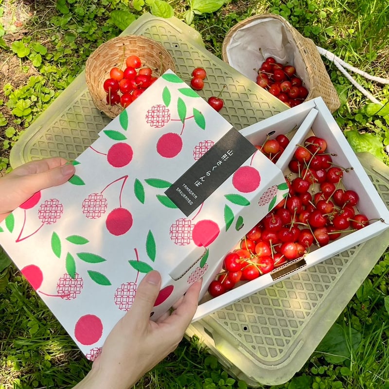 畑から直送】もぎっぱなし「山形県産佐藤錦」※予約販売 | すとう