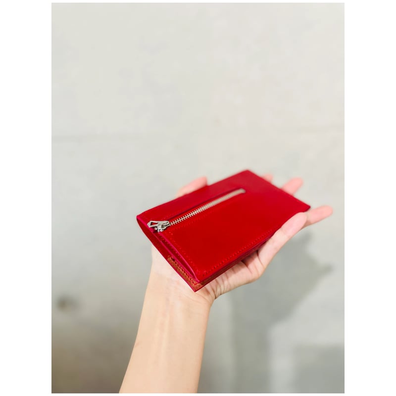 Dゾーン 20個 ケース付き EVERGREEN（エバーグリーン