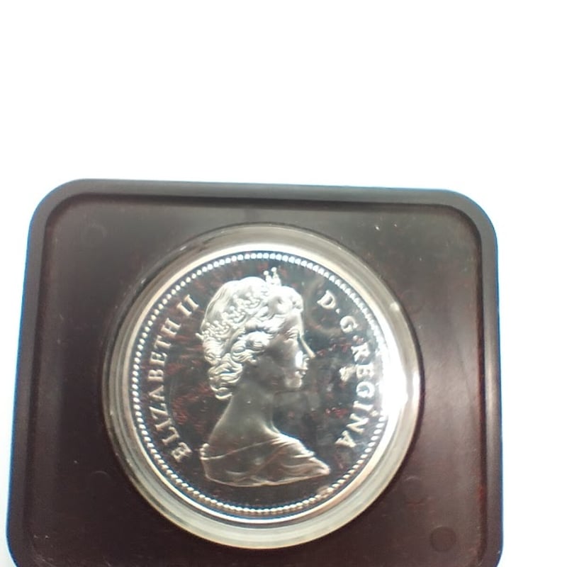 カナダ ウィニペグ市創立100周年記念硬貨 | TTKshop