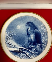 マイセン限定プレート野鳥シリーズ1987 箱保証書付