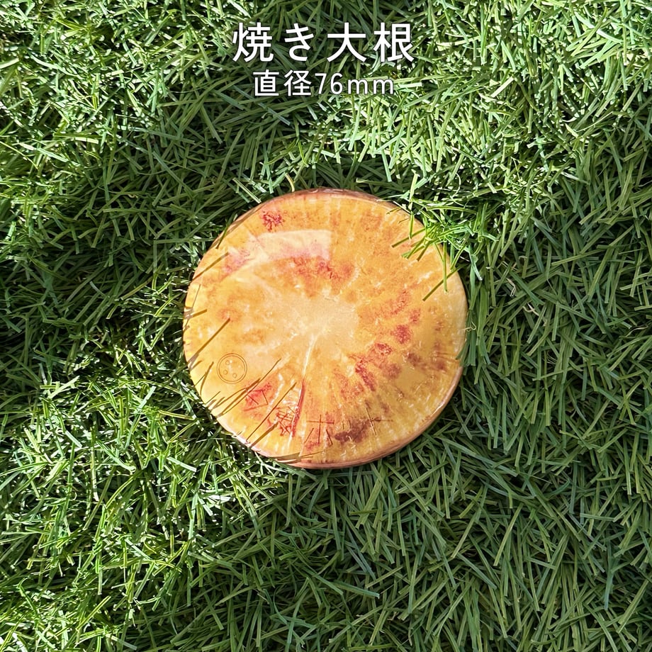672aebc8956c0c04cc329e68