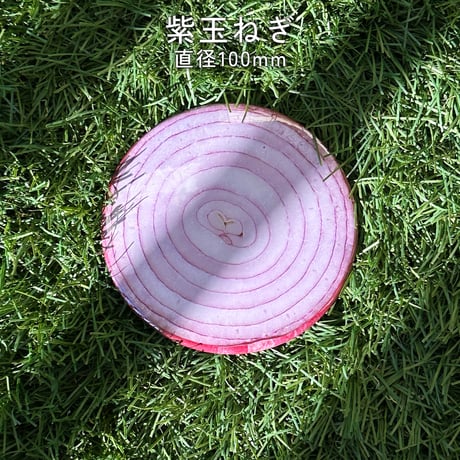 根菜缶バッジ（全10種）