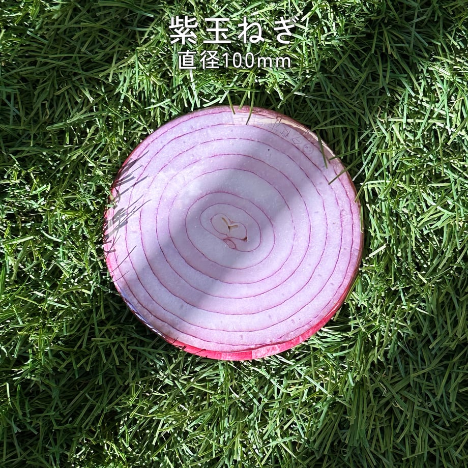 672aebc8956c0c04cc329e68