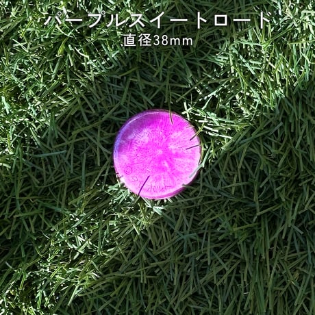 根菜缶バッジ（全10種）