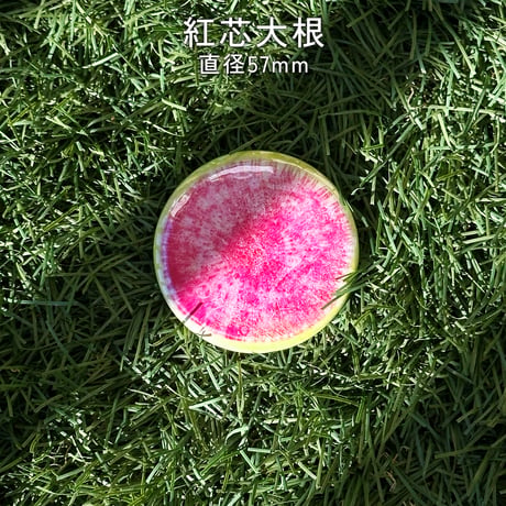 根菜缶バッジ（全10種）