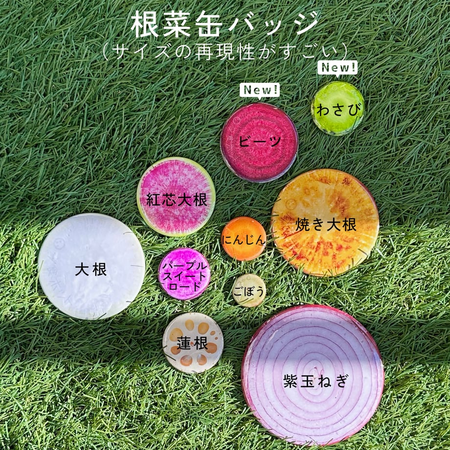 672aebc8956c0c04cc329e68