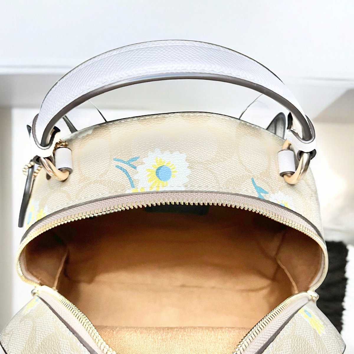 COACH バックパック シグネチャー | LQEMIE