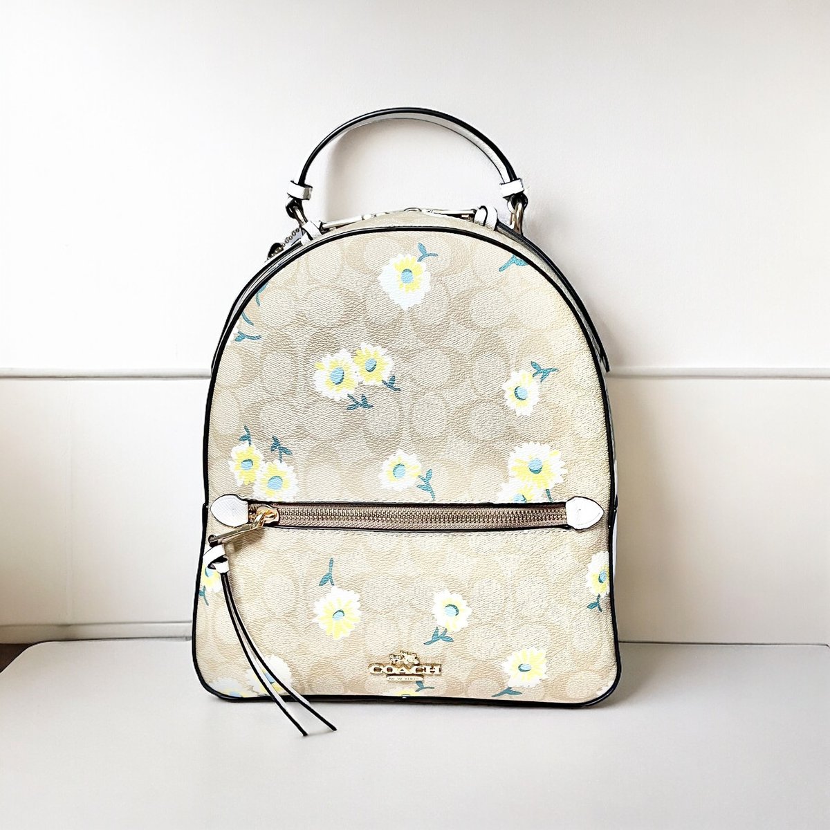 COACH バックパック シグネチャー | LQEMIE