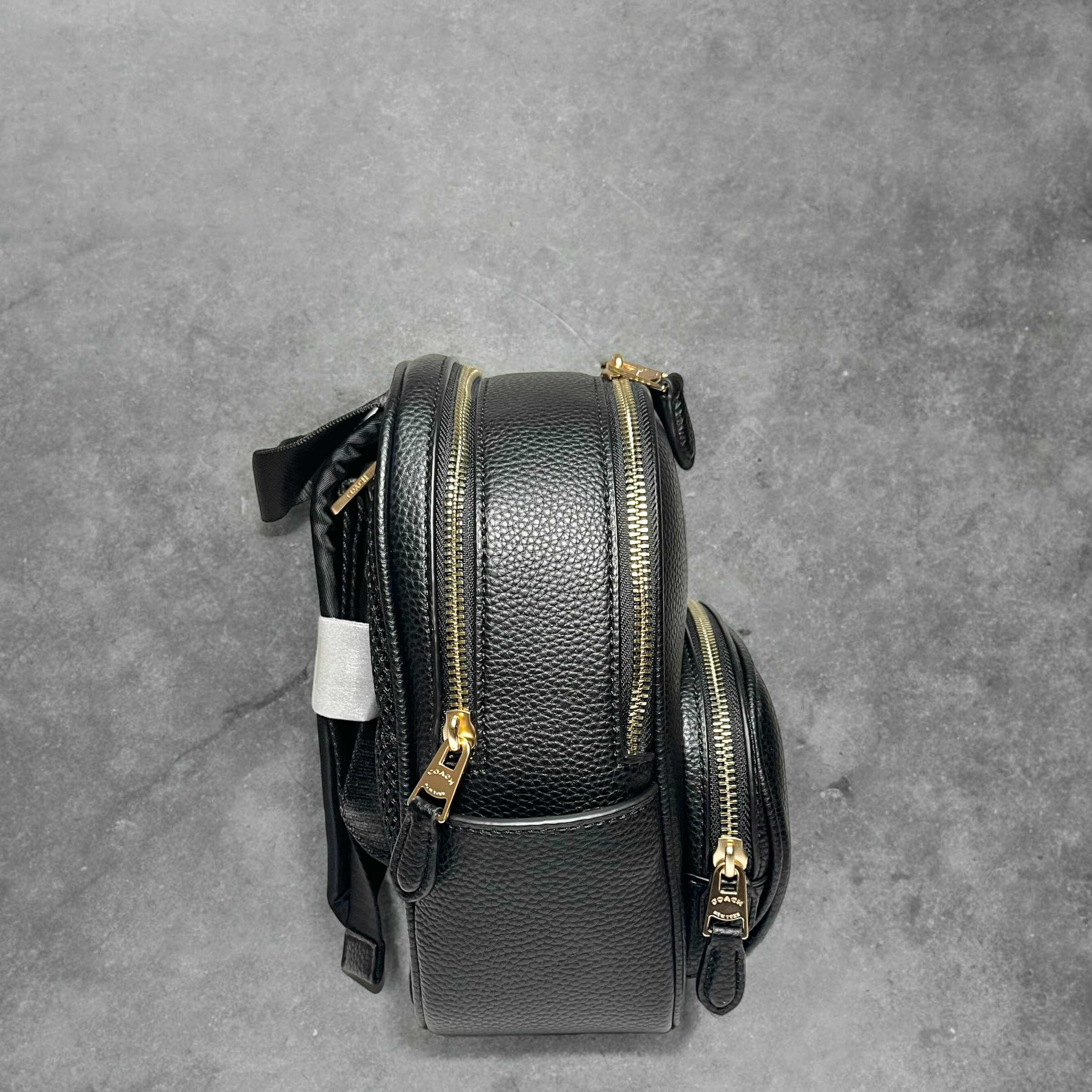 COACH コーチ ミニリュック シグネチャー ブラック | LQEMIE