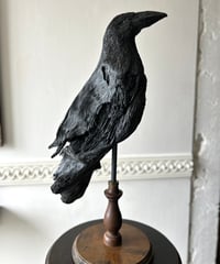 NO.32「カラス」