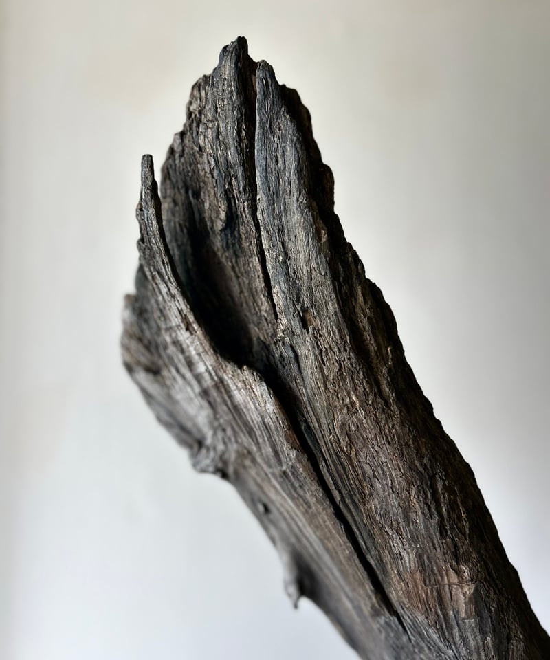 NO.51「白頭鷲の一閃」 | 流木と動物彫刻