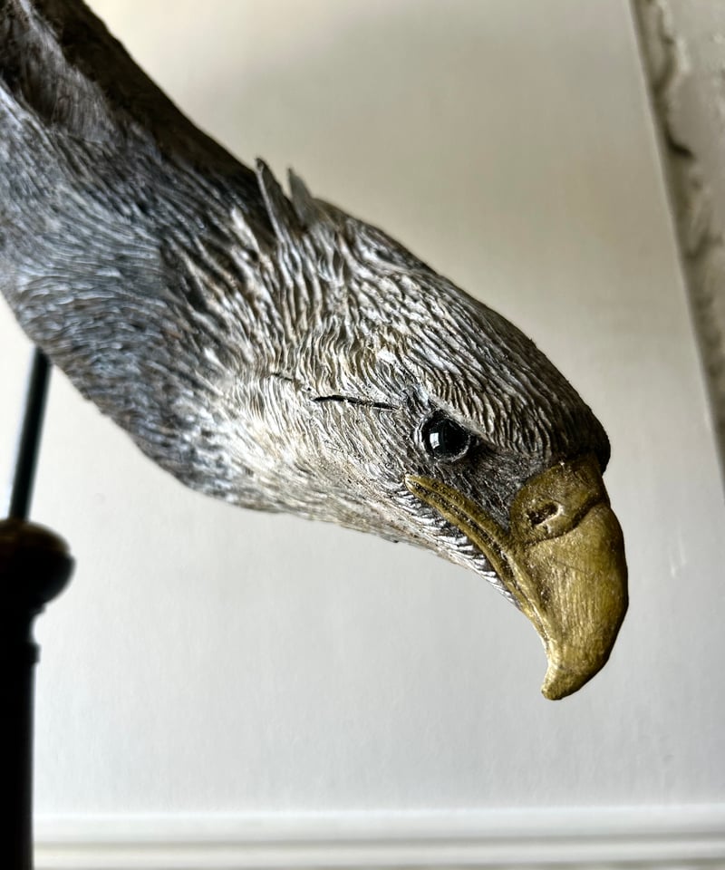 白鷲 2025年最新】zx 外装 白の人気アイテム - メルカリ