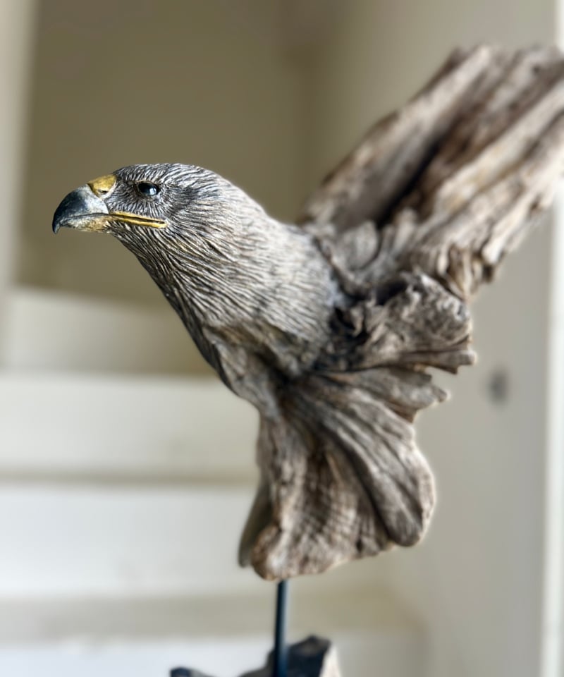 NO.63「シロハヤブサの狩眼」 | 流木と動物彫刻