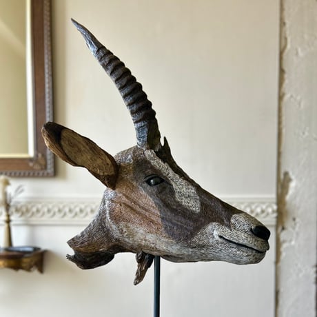 インパラ　剥製　ハンティングトロフィー インパラ剥製ハンティングトロフィー