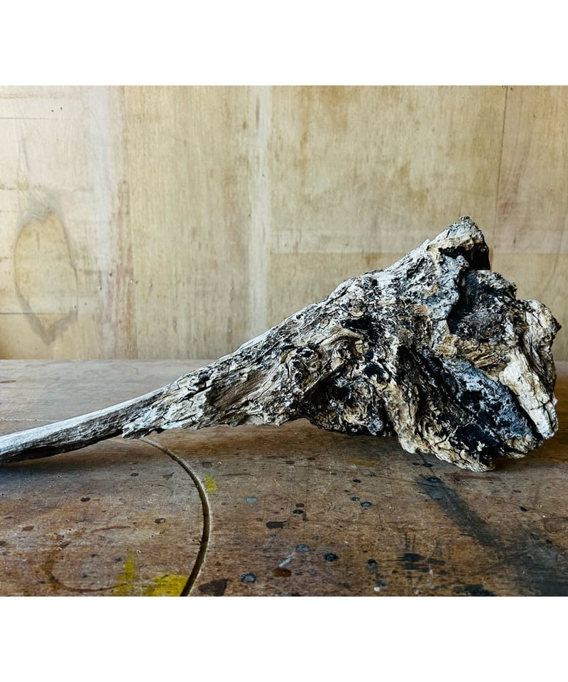 オオカミの木製彫刻 約30cm高 オオカミの木製彫刻 約30cm高 おおかみ 木彫 オオカミ／狼 立体