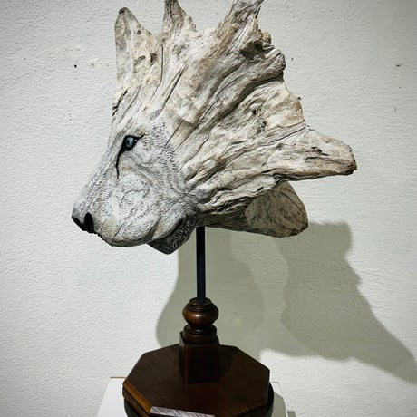 オシドリ剥製 オシドリの剥製 オシドリの剥製 2025年最新】剥製 オシドリの人気アイテム