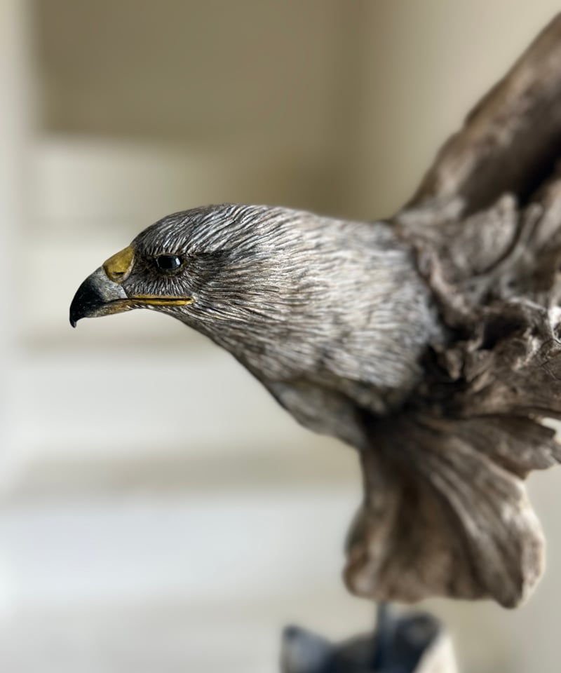 NO.63「シロハヤブサの狩眼」 | 流木と動物彫刻