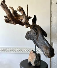 NO.60「太古の森のアラスカヘラジカ」