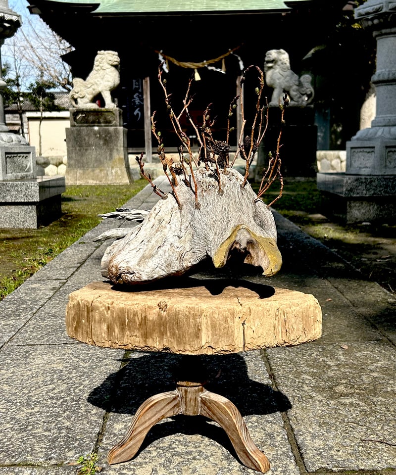 NO12「冬獣夏草」 | 流木と動物彫刻