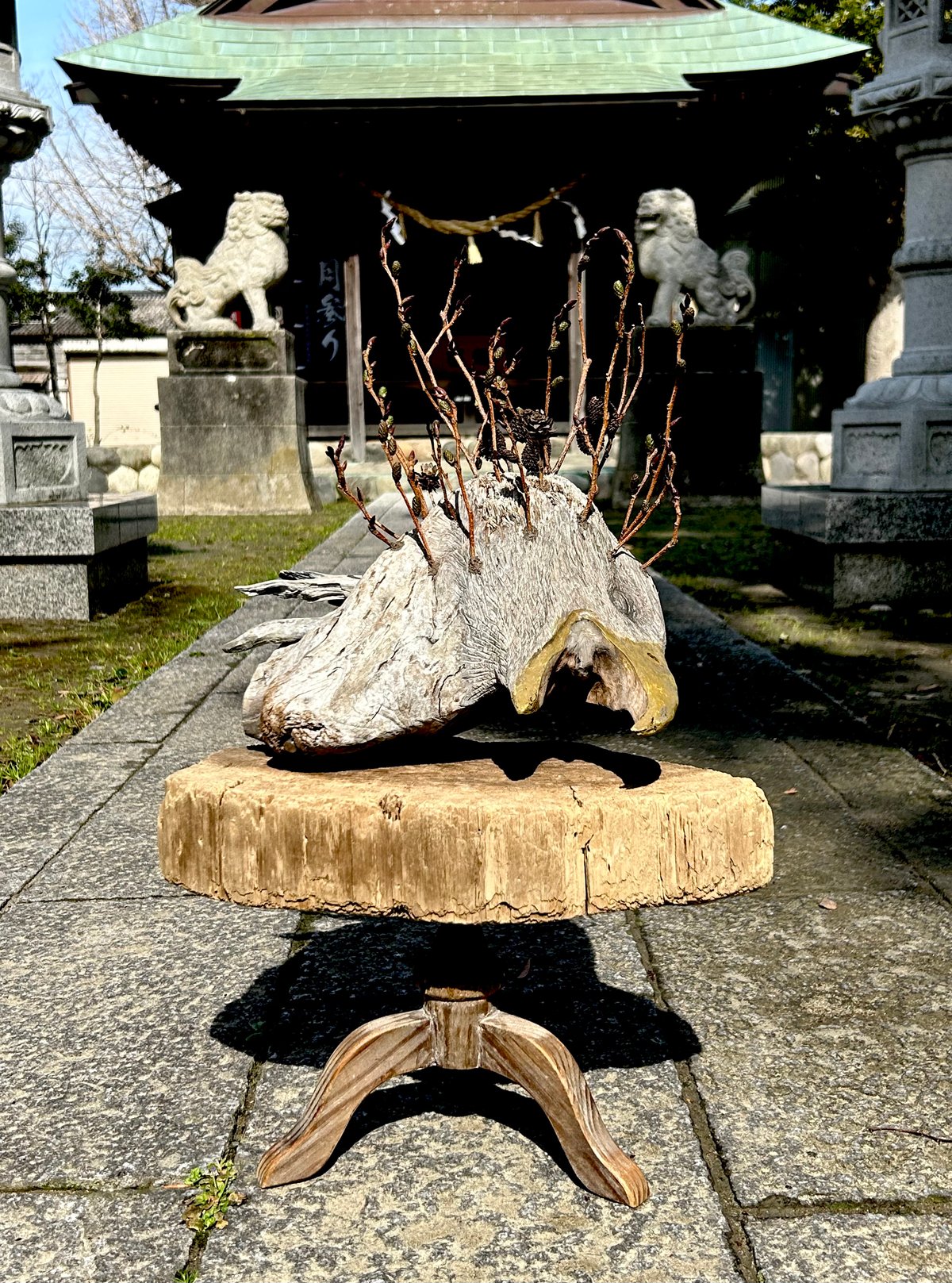 草木と小さな動物 fit=scale-down,w=1200