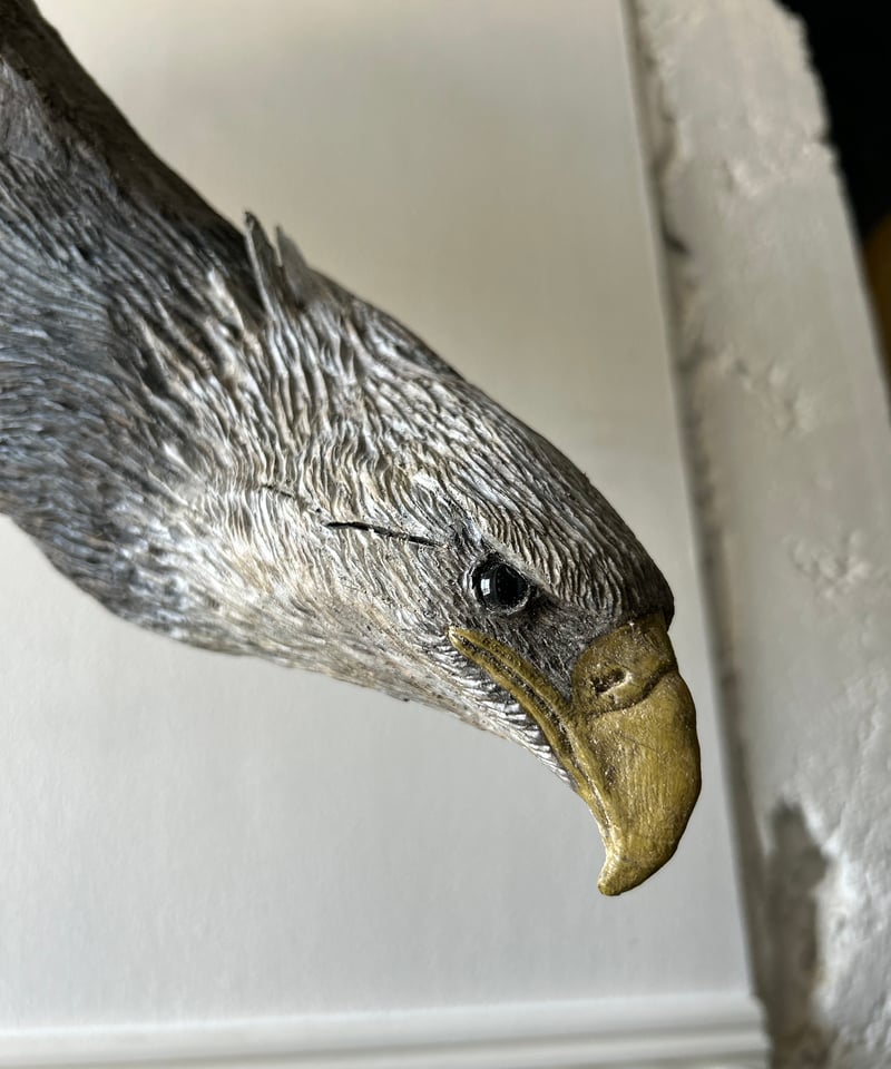 白鷲 白鷲 | 並木彩時記