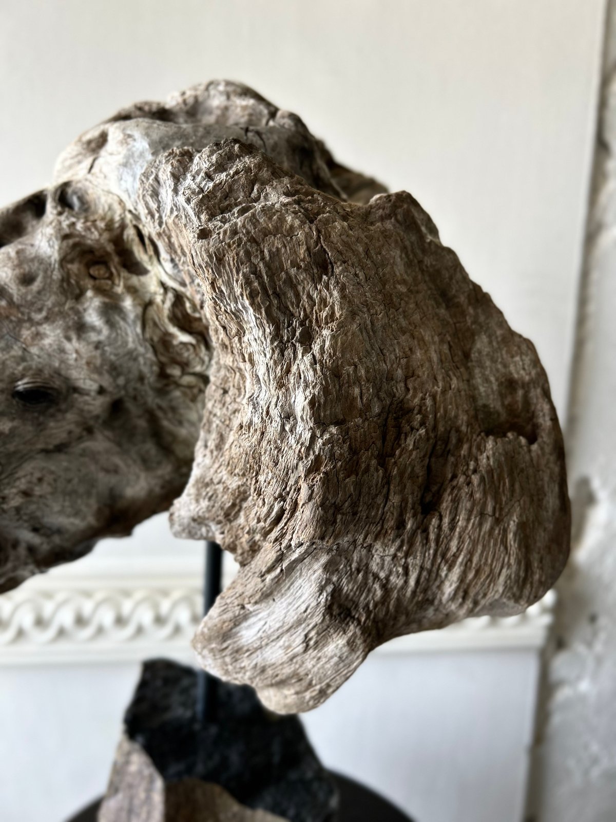 NO.62「静眼のアフリカゾウ」 | 流木と動物彫刻