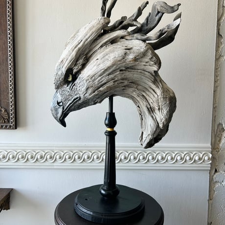 鳥類のデザイン 骨格 筋肉が語る生態と進化 鳥類のデザイン | 骨格・筋肉