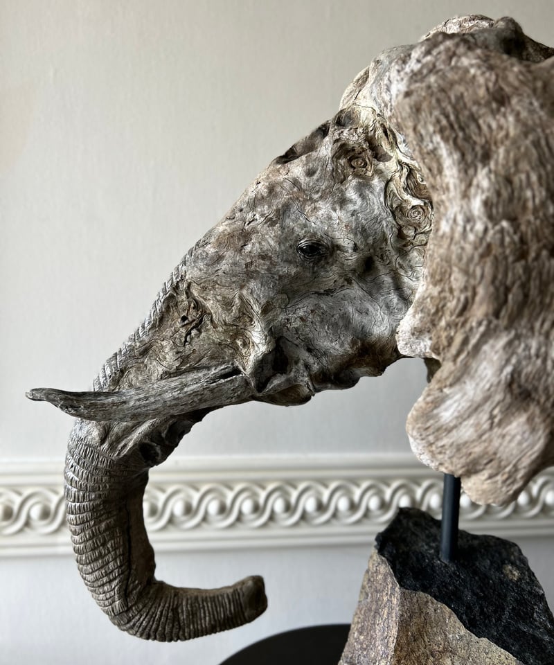 NO.62「静眼のアフリカゾウ」 | 流木と動物彫刻