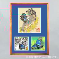 小谷憲一　直筆原画　17ANSカラーイラスト　直筆サイン入り 小谷憲一 直筆原画 17ANSカラーイラスト 直筆サイン入り 小谷