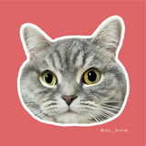 りくさんショップ