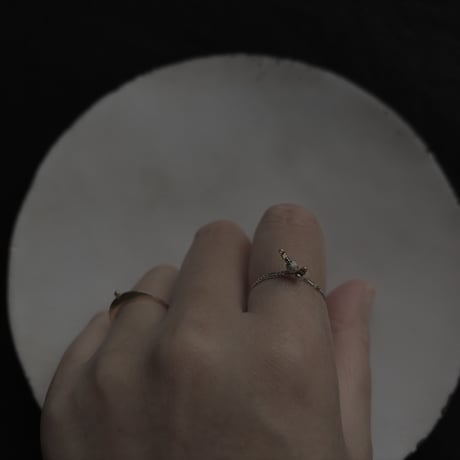 2026. s/s  silver ring◎