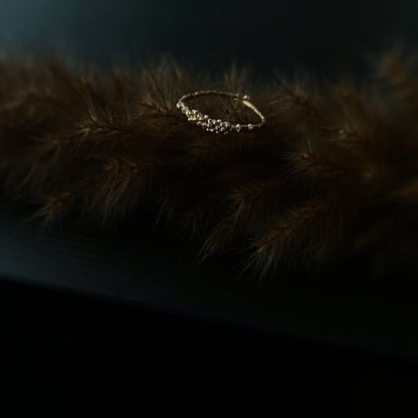 -廃盤2/15- no1 ｜decem ring｜