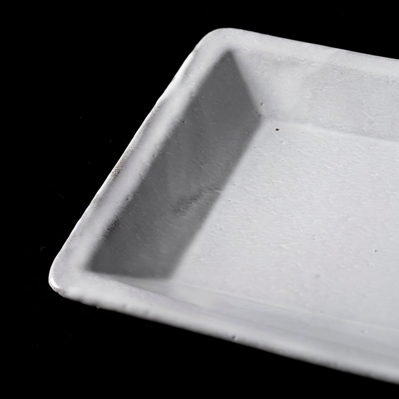 Banshaku Rectangular Platter n°5・ASTIER de VILL