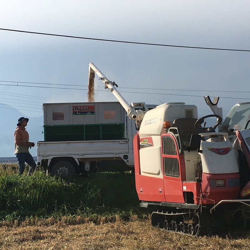 長野県産サンザシ5kg 長野県安曇野産 ササニシキ 5kg | RISING SUN FARM