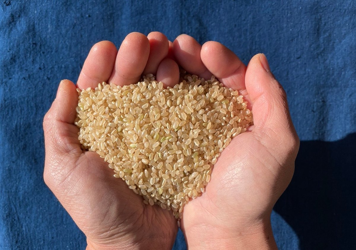 長野県産サンザシ5kg 長野県安曇野産 ササニシキ 5kg | RISING SUN FARM