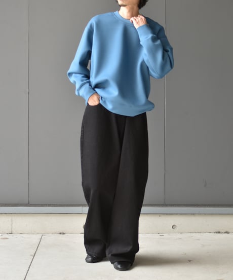 PERS PROJECTS  FRITZ CREW TRAINER