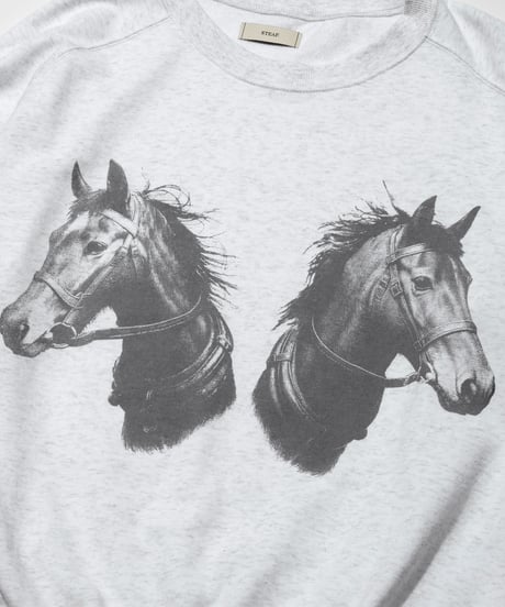 STEAF PACK ANIMAL SWEAT
